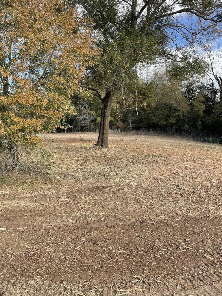 Cleared land after forestry mulching with trees and open ground