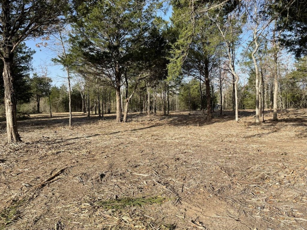Wooded land after brush clearing and forestry mulching