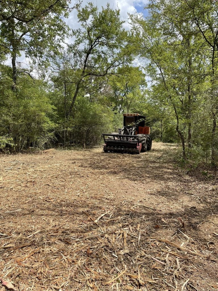 Skid steer with forestry mulcher creating a path through woodland