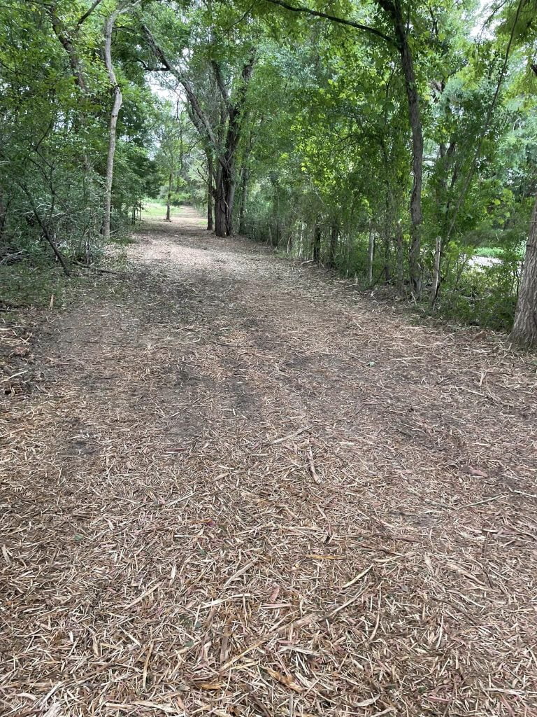 Forestry mulched trail through wooded property