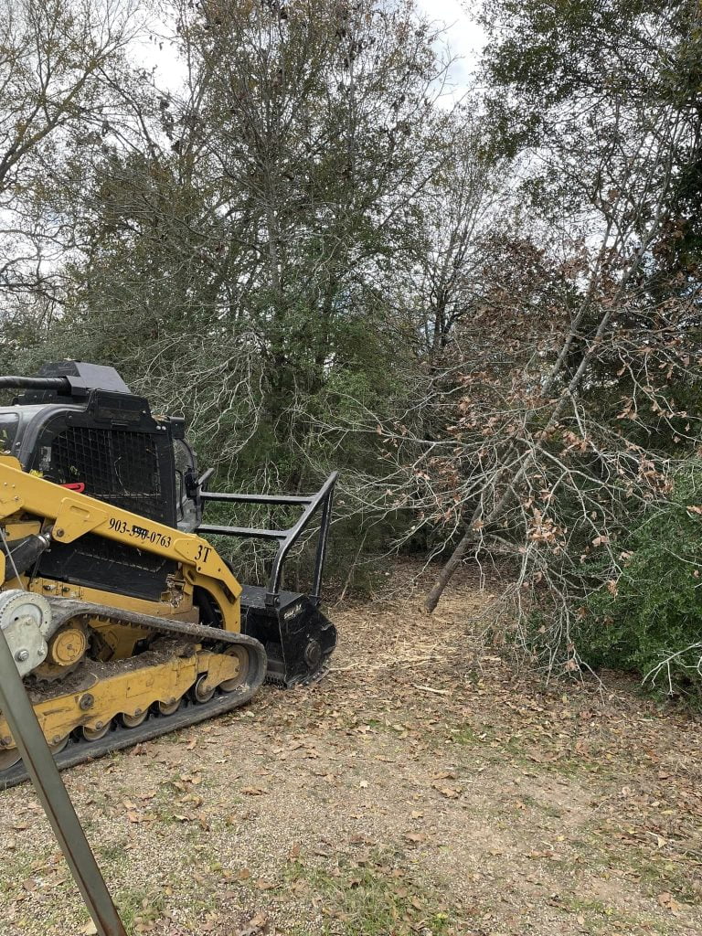 For QASkid steer removing fallen tree during land clearing