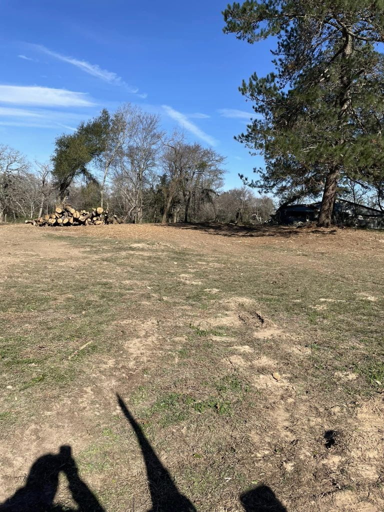 Cleared land with stacked logs after tree removal and land clearing