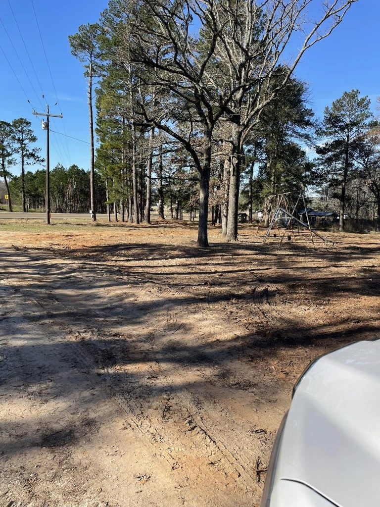 Cleared property with large trees near road after brush removal