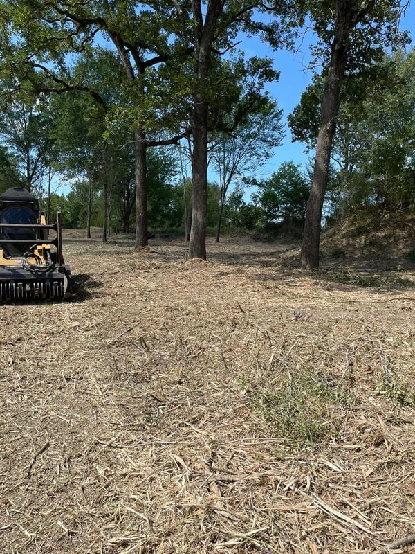 Forestry mulcher clearing brush in wooded property