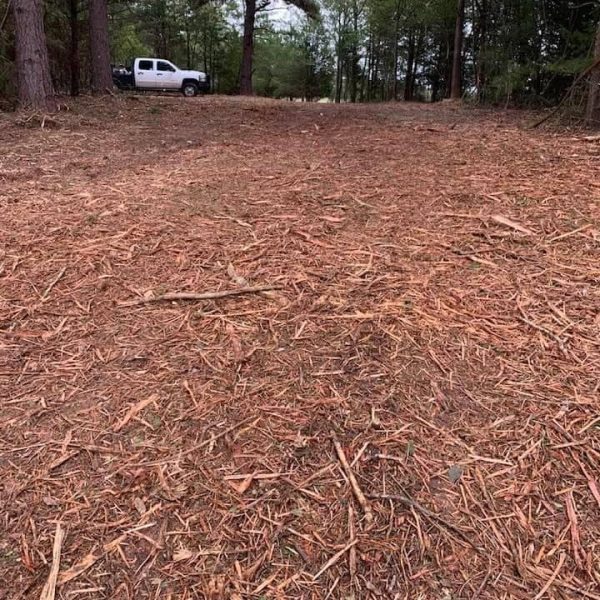 Forestry mulched ground after land clearing