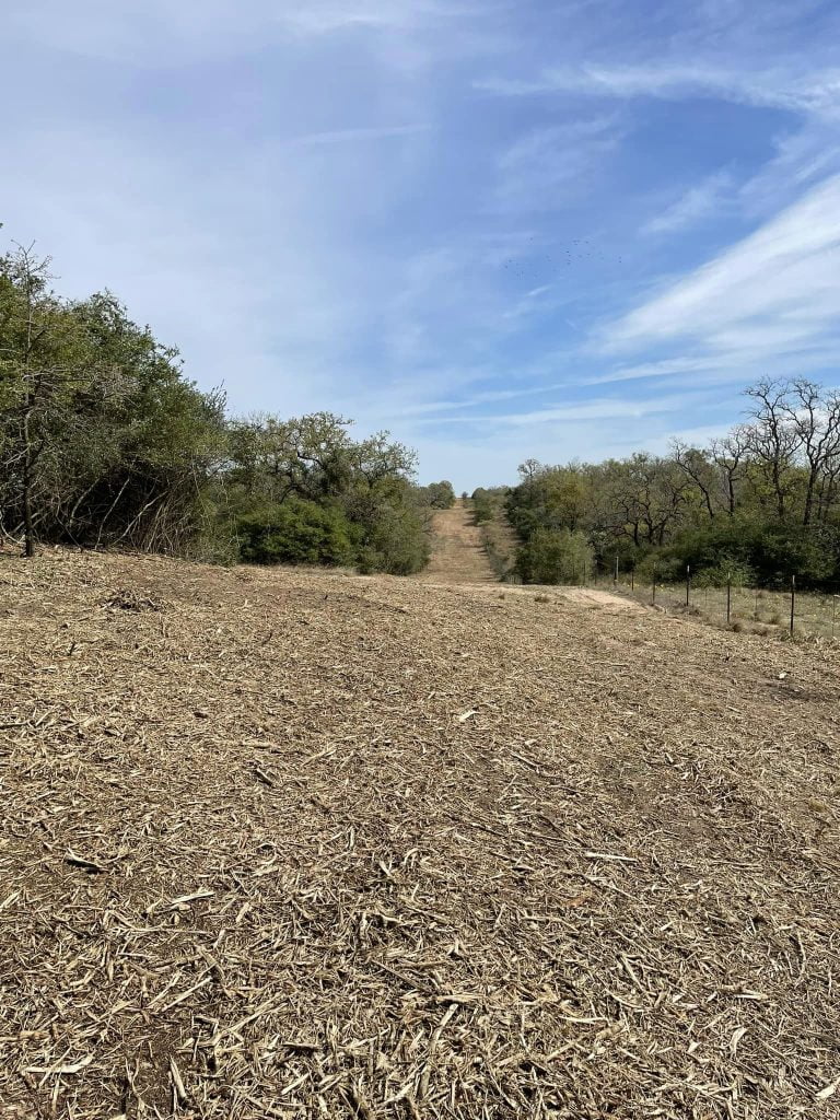 Cleared land corridor after forestry mulching